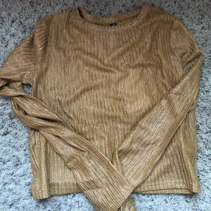 Zara Shimmer Cropped L/S Top